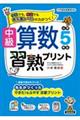 中級算数習熟プリント 小学5年生