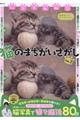 ���₳��]���@�L�̂܂������������@�u�n�k�D�Q