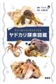 �����������ɍs�������Ȃ郄�h�J���T���}��