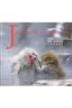 Japanese monkey