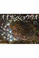 オオサンショウウオ