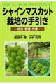 �V���C���}�X�J�b�g�͔|�̎����