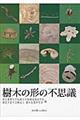 樹木の形の不思議
