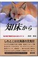 知床から