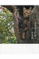 ふるさとのねこ