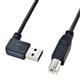 �T�����T�v���C ���ʑ}����L�^USB�P�[�u��(A-B�W���j KU-RL1