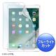 �T�����T�v���C�@Apple10.5�C���`iPadPro2017�p�u���[���C�g�J�b�g�t���ی�w��h�~����t�B�����@LCD-IPAD9BC