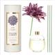AROMA DIFFUSER DAHLIA 450 PL/ENGLISH / �A���} �f�B�t���[�U�[ �_�[���A�@450�@�p�[�v���@�C���O���b�V���K�[�f���@�_���g�� (S�F0240)