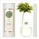 AROMA DIFFUSER DAHLIA 450 GN/HONEY / �A���} �f�B�t���[�U�[ �_�[���A�@450�@�O���[���@�n�j�[�T�N���@�_���g�� (S�F0240)